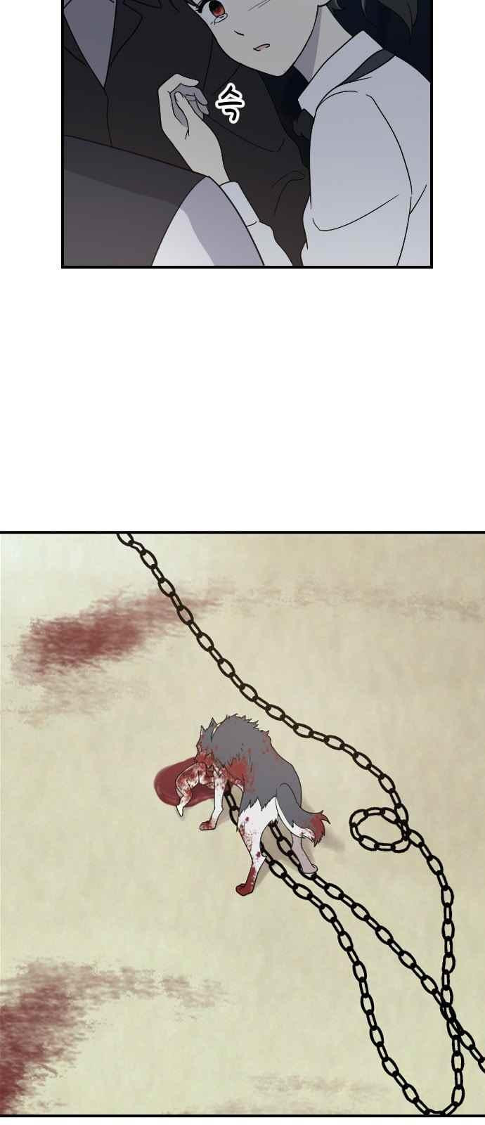 15651834427211.jpeg